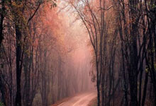 媒体人：最佳教练竞争最激烈，王博&潘江&邱彪各有千秋.