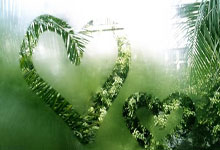 PG模拟器官网：6分之差！拜仁&勒沃库森最后7轮赛程对比：双方都将主场战多特.