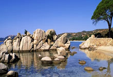 多特与NFL球队匹兹堡钢人建立合作关系：通过历史和传统团结起来.